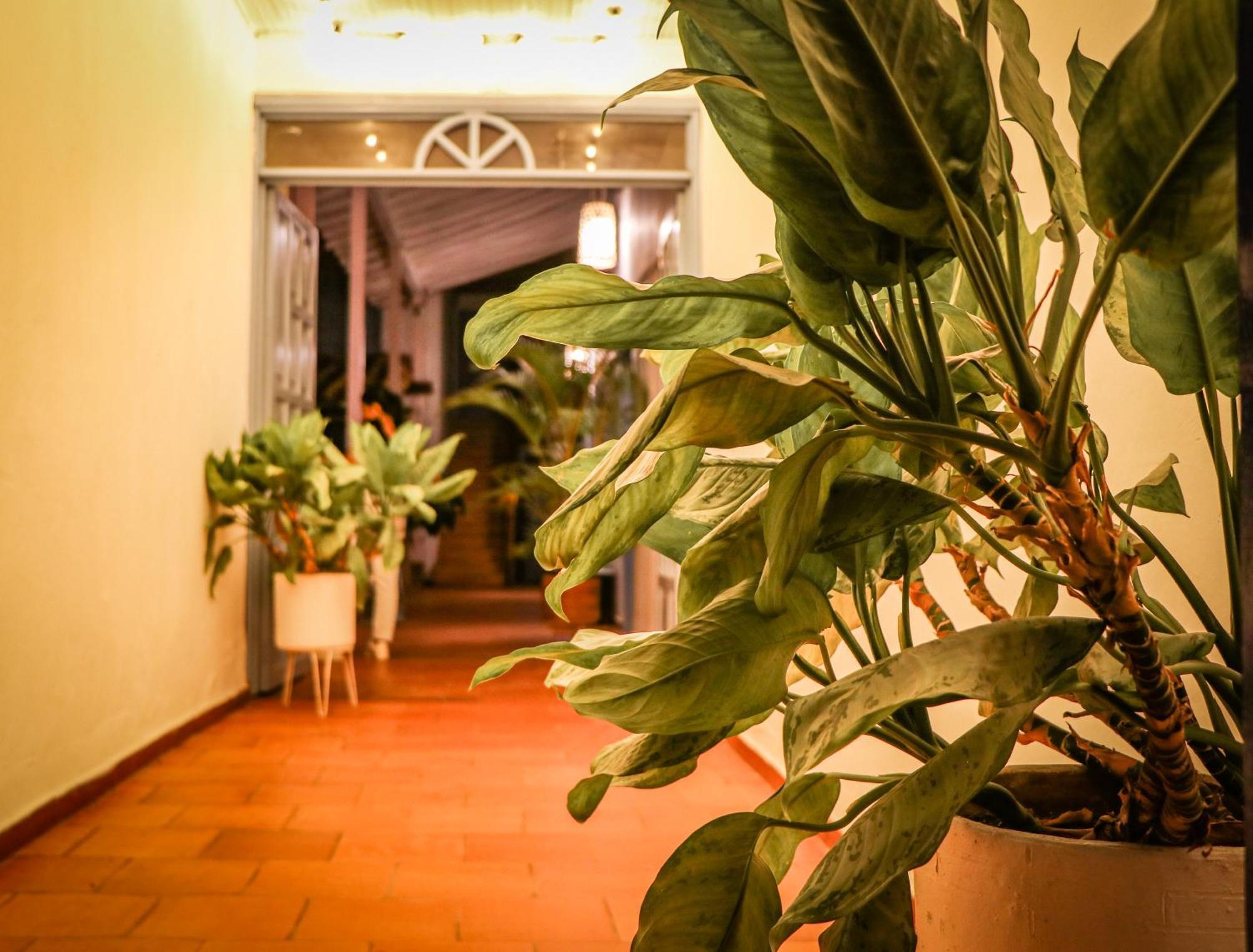 Aura Hotel Parque Barichara By Infinity Εξωτερικό φωτογραφία